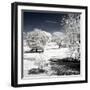 Another Look - Paris-Philippe Hugonnard-Framed Photographic Print