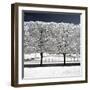 Another Look - Paris-Philippe Hugonnard-Framed Photographic Print