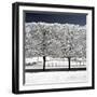 Another Look - Paris-Philippe Hugonnard-Framed Photographic Print