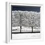 Another Look - Paris-Philippe Hugonnard-Framed Photographic Print