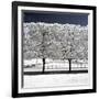 Another Look - Paris-Philippe Hugonnard-Framed Photographic Print