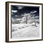 Another Look - Paris-Philippe Hugonnard-Framed Photographic Print