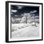 Another Look - Paris-Philippe Hugonnard-Framed Photographic Print