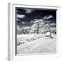 Another Look - Paris-Philippe Hugonnard-Framed Photographic Print