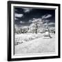 Another Look - Paris-Philippe Hugonnard-Framed Photographic Print