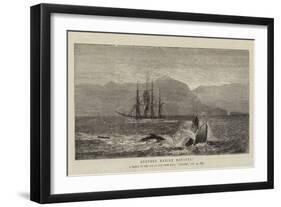 Another Marine Monster!-null-Framed Giclee Print