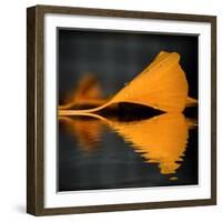 Another Missing Piece-Philippe Sainte-Laudy-Framed Photographic Print