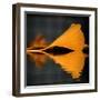 Another Missing Piece-Philippe Sainte-Laudy-Framed Photographic Print