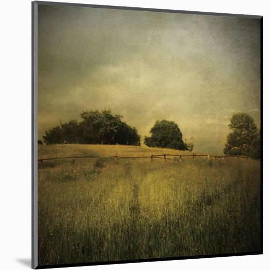 Another Place 2-Crina Prida-Mounted Art Print