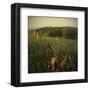 Another Place 4-Crina Prida-Framed Art Print