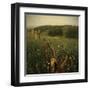 Another Place 4-Crina Prida-Framed Art Print