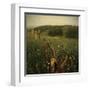 Another Place 4-Crina Prida-Framed Art Print