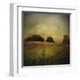 Another Place II-Crina Prida-Framed Art Print