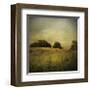 Another Place II-Crina Prida-Framed Giclee Print