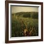 Another Place IV-Crina Prida-Framed Giclee Print