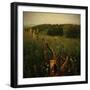 Another Place IV-Crina Prida-Framed Art Print