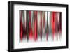 Another tree-Marco Carmassi-Framed Photographic Print