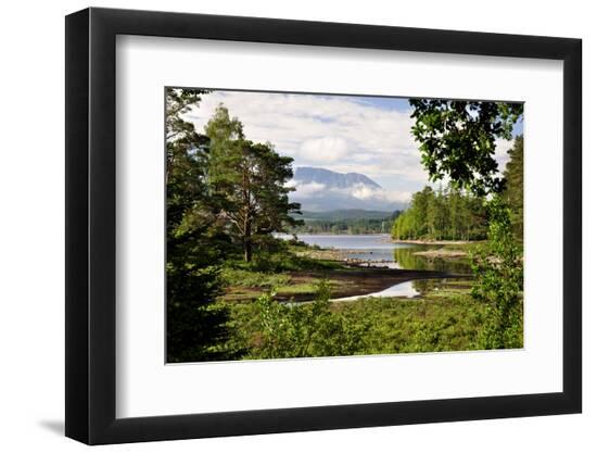 Photographic Print, , large