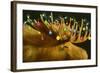 Another Xmas Moose-Will Bullas-Framed Giclee Print