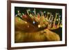 Another Xmas Moose-Will Bullas-Framed Giclee Print