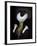 Anouk-Florent Bodart-Framed Giclee Print