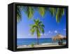 Anse Chastenet Beach, St. Lucia, Caribbean, West Indies-John Miller-Framed Stretched Canvas