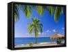 Anse Chastenet Beach, St. Lucia, Caribbean, West Indies-John Miller-Framed Stretched Canvas