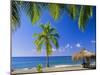 Anse Chastenet Beach, St. Lucia, Caribbean, West Indies-John Miller-Mounted Photographic Print