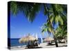 Anse Chastenet, St. Lucia, Windward Islands, West Indies, Caribbean, Central America-John Miller-Stretched Canvas