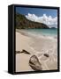 Anse de Grande Saline Beach, St. Barthelemy, West Indies, Caribbean, Central America-Sergio Pitamitz-Framed Stretched Canvas