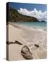 Anse de Grande Saline Beach, St. Barthelemy, West Indies, Caribbean, Central America-Sergio Pitamitz-Stretched Canvas