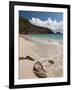 Anse de Grande Saline Beach, St. Barthelemy, West Indies, Caribbean, Central America-Sergio Pitamitz-Framed Photographic Print