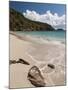 Anse de Grande Saline Beach, St. Barthelemy, West Indies, Caribbean, Central America-Sergio Pitamitz-Mounted Photographic Print