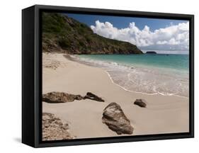 Anse de Grande Saline Beach, St. Barthelemy, West Indies, Caribbean, Central America-Sergio Pitamitz-Framed Stretched Canvas