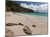 Anse de Grande Saline Beach, St. Barthelemy, West Indies, Caribbean, Central America-Sergio Pitamitz-Mounted Premium Photographic Print