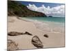 Anse de Grande Saline Beach, St. Barthelemy, West Indies, Caribbean, Central America-Sergio Pitamitz-Mounted Photographic Print