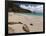 Anse de Grande Saline Beach, St. Barthelemy, West Indies, Caribbean, Central America-Sergio Pitamitz-Framed Photographic Print