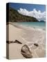 Anse de Grande Saline Beach, St. Barthelemy, West Indies, Caribbean, Central America-Sergio Pitamitz-Stretched Canvas