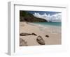 Anse de Grande Saline Beach, St. Barthelemy, West Indies, Caribbean, Central America-Sergio Pitamitz-Framed Photographic Print