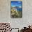 Anse Du Grand Fond-Guido Cozzi-Framed Stretched Canvas displayed on a wall