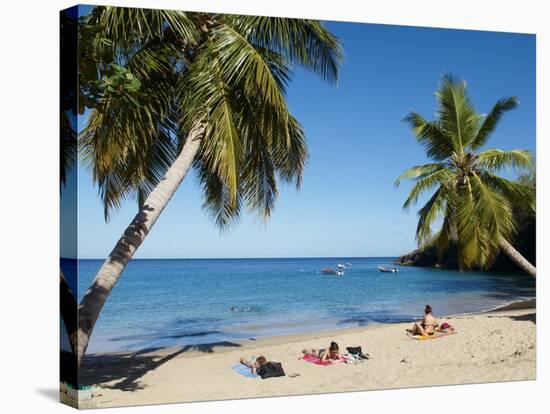 Anse Dufour Beach, Martinique, French West Indies, Caribbean, Central America-null-Stretched Canvas