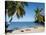 Anse Dufour Beach, Martinique, French West Indies, Caribbean, Central America-null-Stretched Canvas