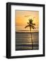 Anse Forbons beach, Mahe, Republic of Seychelles, Indian Ocean.-Michael DeFreitas-Framed Photographic Print
