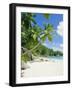 Anse Intedance, Mahe, Seychelles, Indian Ocean-Robert Harding-Framed Photographic Print