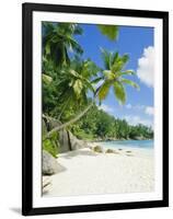 Anse Intedance, Mahe, Seychelles, Indian Ocean-Robert Harding-Framed Photographic Print