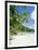 Anse Intedance, Mahe, Seychelles, Indian Ocean-Robert Harding-Framed Photographic Print