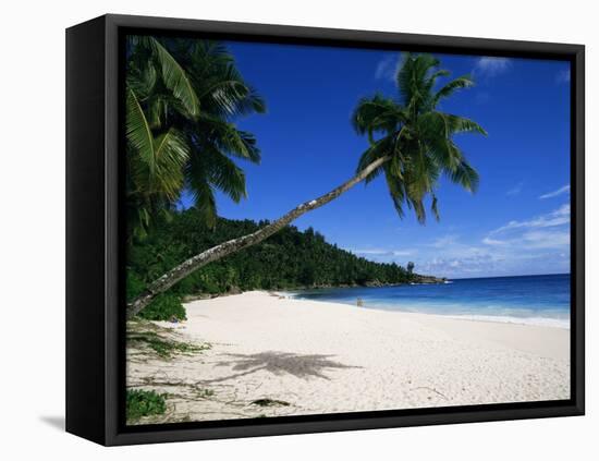 Anse Interdance, Mahe Island, Seychelles, Indian Ocean, Africa-Robert Harding-Framed Stretched Canvas