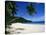 Anse Interdance, Mahe Island, Seychelles, Indian Ocean, Africa-Robert Harding-Stretched Canvas