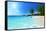 Anse Lazio Beach at Praslin Island, Seychelles-Iakov Kalinin-Framed Stretched Canvas