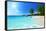 Anse Lazio Beach at Praslin Island, Seychelles-Iakov Kalinin-Framed Stretched Canvas